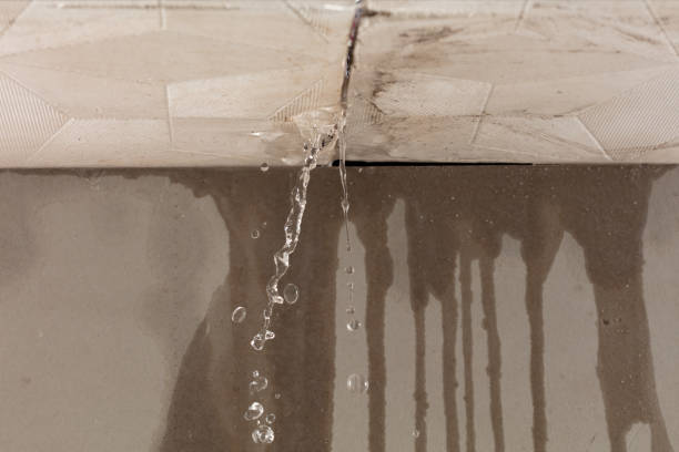 Professional Burst Pipe Cleanup technician working in Rollingstone, MN